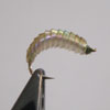 Grub Fly Pattern